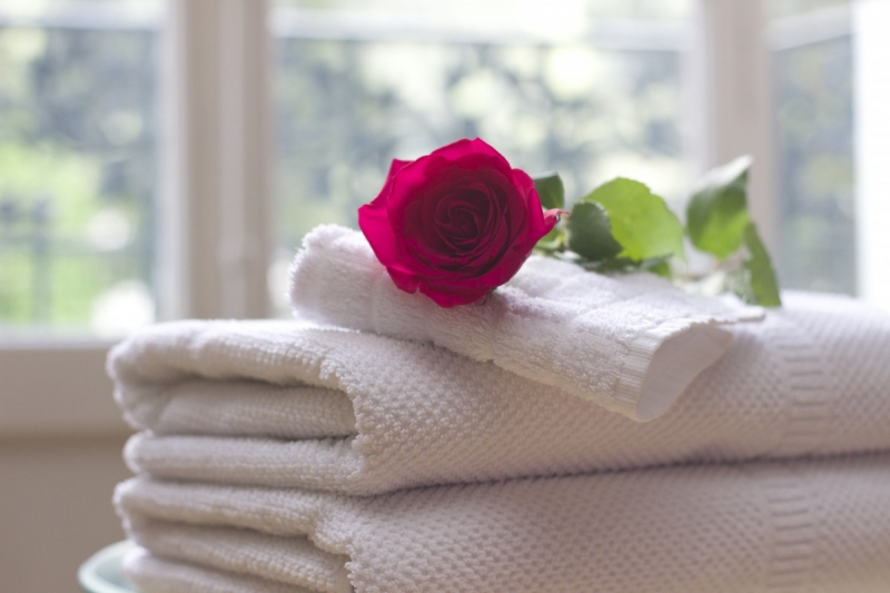 hotel-STE MAXIME-min_towel_rose_clean_care_salon_spa_white_bath-731641